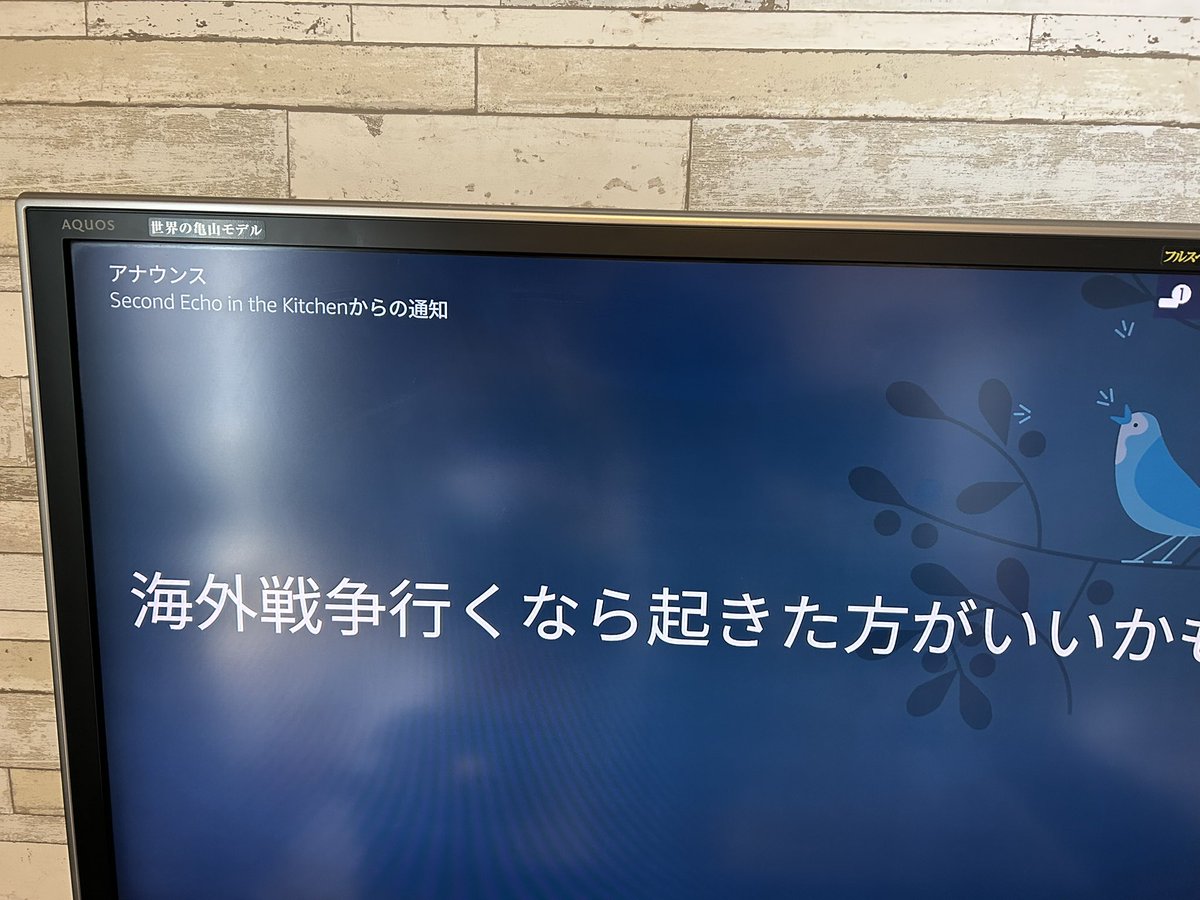 luciluci's tweet photo. …違う。言ったのは、「海岸清掃行くなら起きた方がいいかも」#Alexa #アレクサ #空耳 https://t.co/1Lpbd0d49N