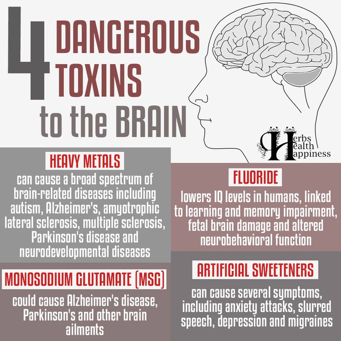 OrganicLiveFood's tweet photo. How to get rid of heavy metals like fluoride, lead or mercury in your body     👇      🧠       ☠️

https://t.co/YuoS0esSvq https://t.co/zgleyOsXQq