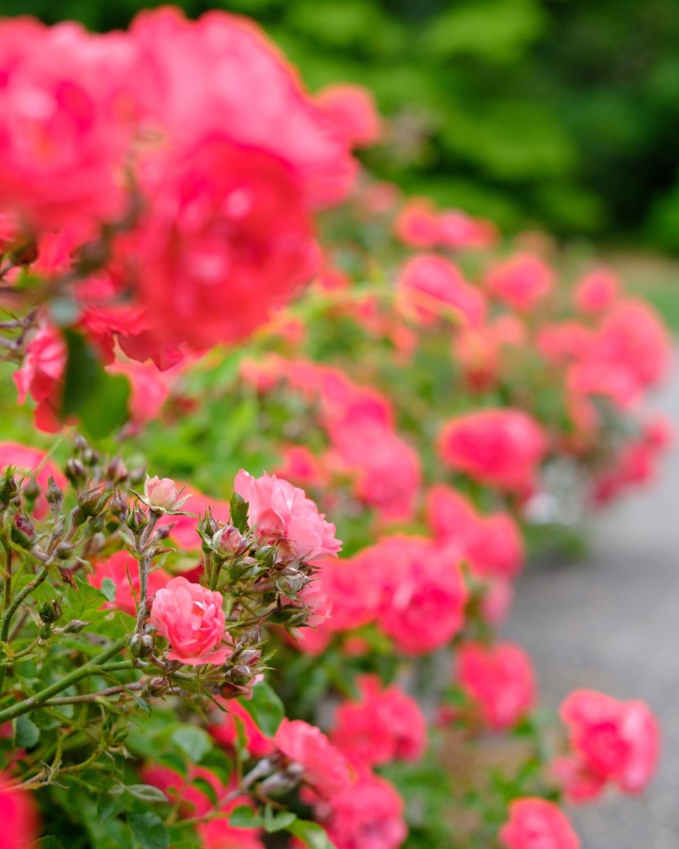 Michael Archambault tweet media