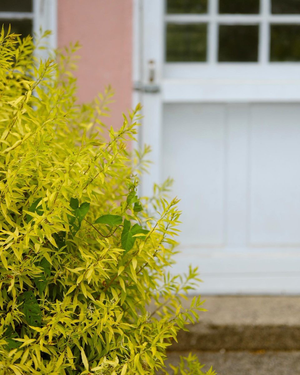 Michael Archambault tweet media