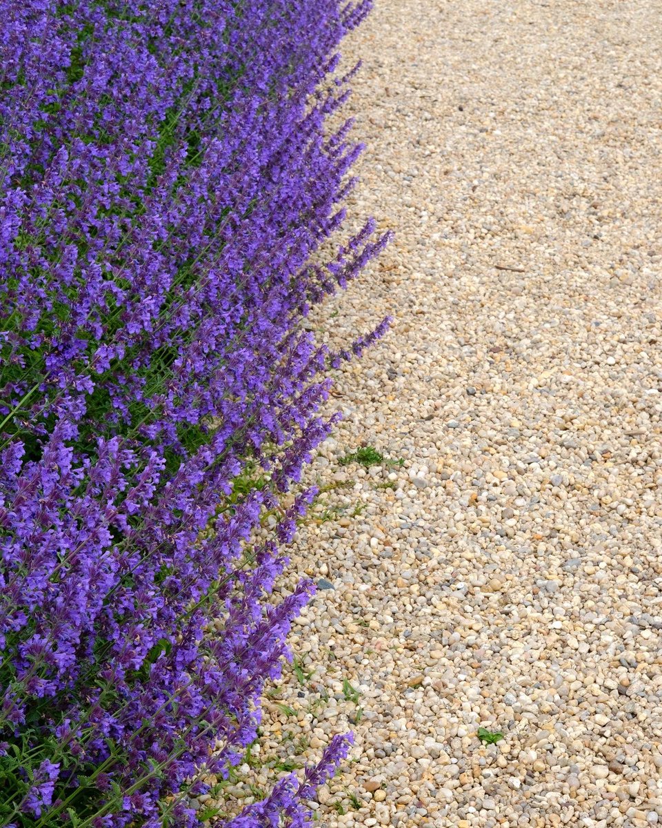 Michael Archambault tweet media