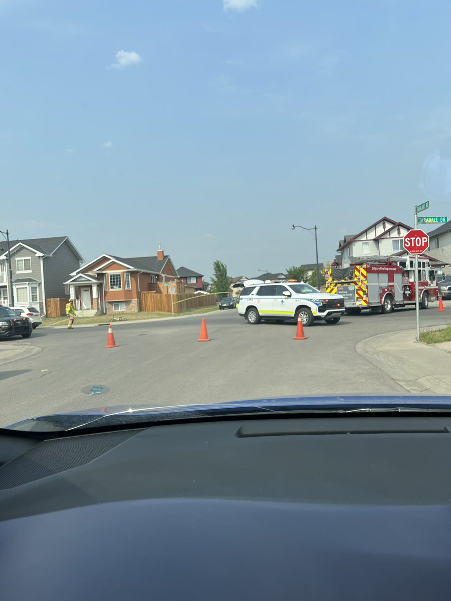 Stevieiis tweet media