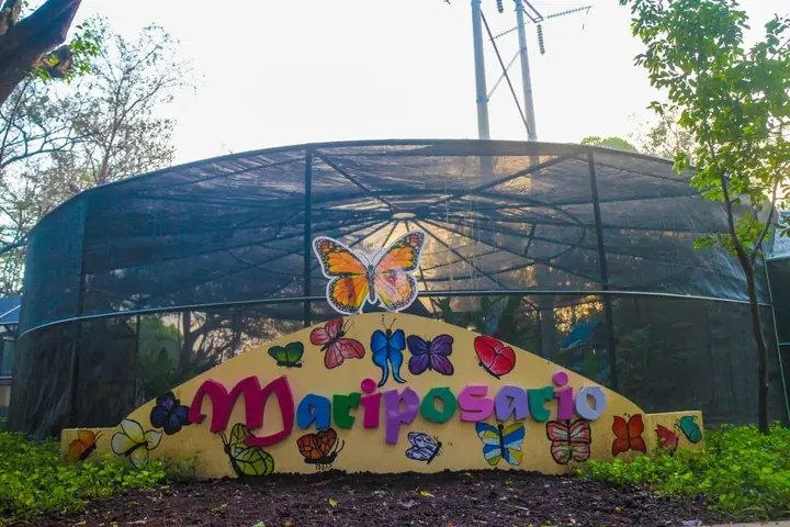 Gabriel82975940's tweet photo. #Masaya #Parquenatural

🍀Asi de lindo luce el parque natural de Masaya

¡Una belleza total!

🍀Está ubicado en la villa 10 de Mayo, de los semáforos de la INCA 100mts al norte! Masaya.
#JunioEnVictorias 

#UVEOSCARTURCIOSMASAYA https://t.co/2ySp7Lcn5Q