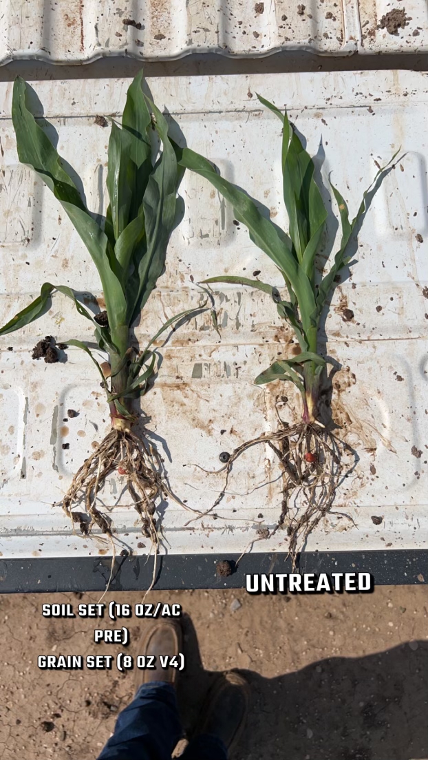 📷Straight from the field 📷 

Jeremy Hawkins, the HELM field rep in Texas, and <a href="/Skylandgrain/">Skyland Grain</a> recently shared an update from the field with Soil-Set® and Grain-Set®.  

Check it out! hubs.ly/Q01SRb060

#Fieldresults #AgTwitter #AgChat