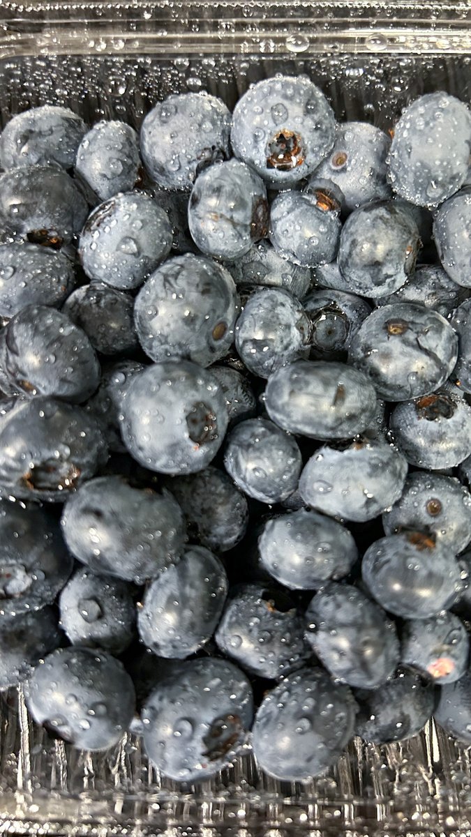 Local berry drop today! 🍓🫐The strawberries are from Old Tavern, we've got black berries from Crossroads and Old Tavern, and blueberries from Crossroads and Browntown Farms.
#localfarms #supportrvafarms #shoplocalfarms #ellwoodthompsons #freshberries