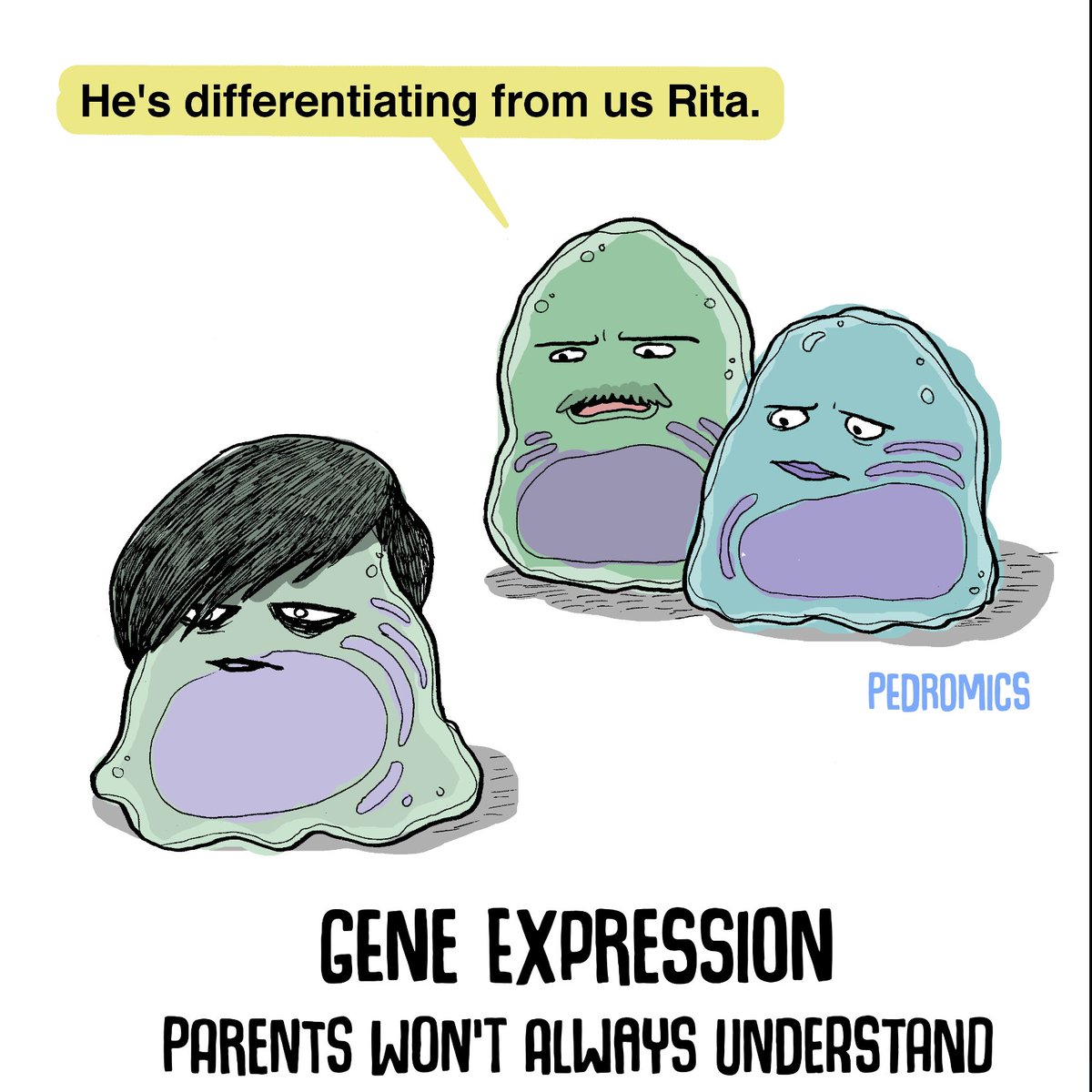 BioChain's tweet photo. Don't you know you're driving your Mama and Papa insane?

Image credit: Pedromics
#fridayfun #sciencefun #goodnews #science #friday #lablife #fridaymood #labvibe #sciencehumor #biology #laboratory #biotechfun  #health #biotechnology #biotech https://t.co/ouQ6fnLAMD