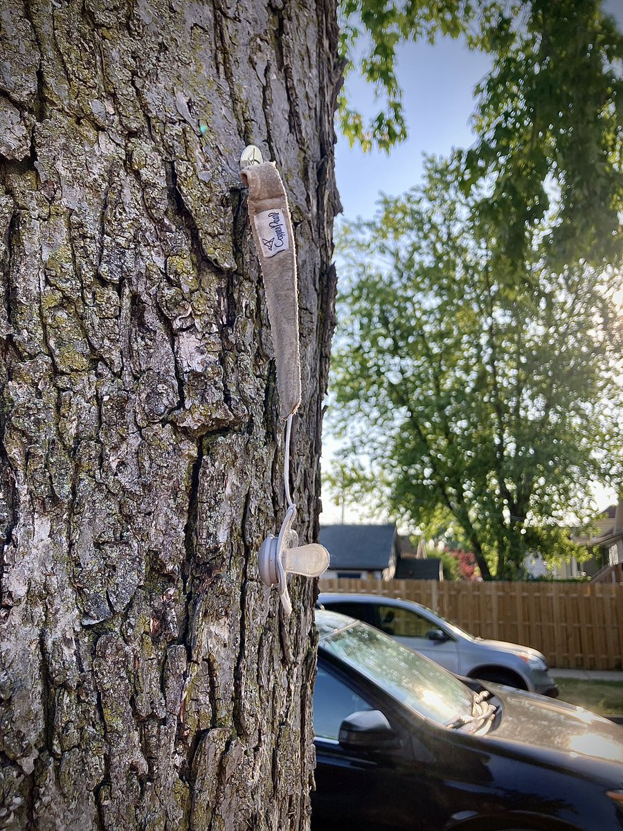 Whoever hung their pacifier on a tree, I shall hold it for you for 48 hrs., but then it’s mine.