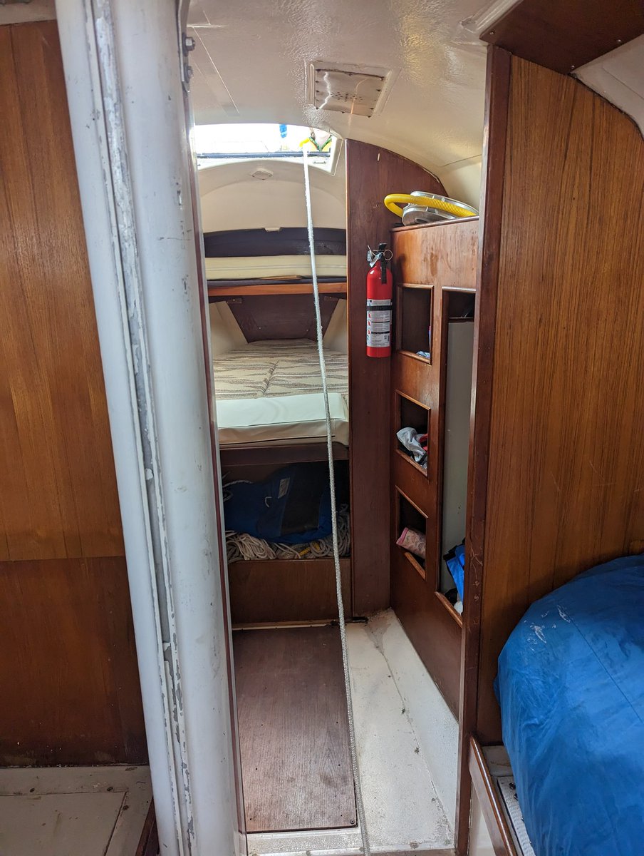 Maverick V tweet media