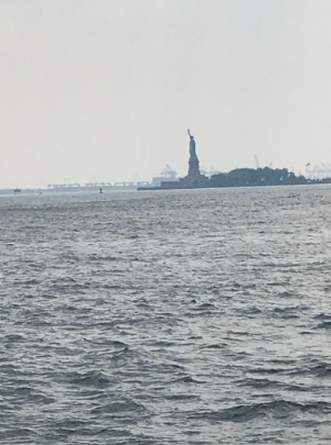 8603103's tweet photo. First time visiting New York City. @nycgov @TimesSquareNYC https://t.co/D9d4g9rBPk