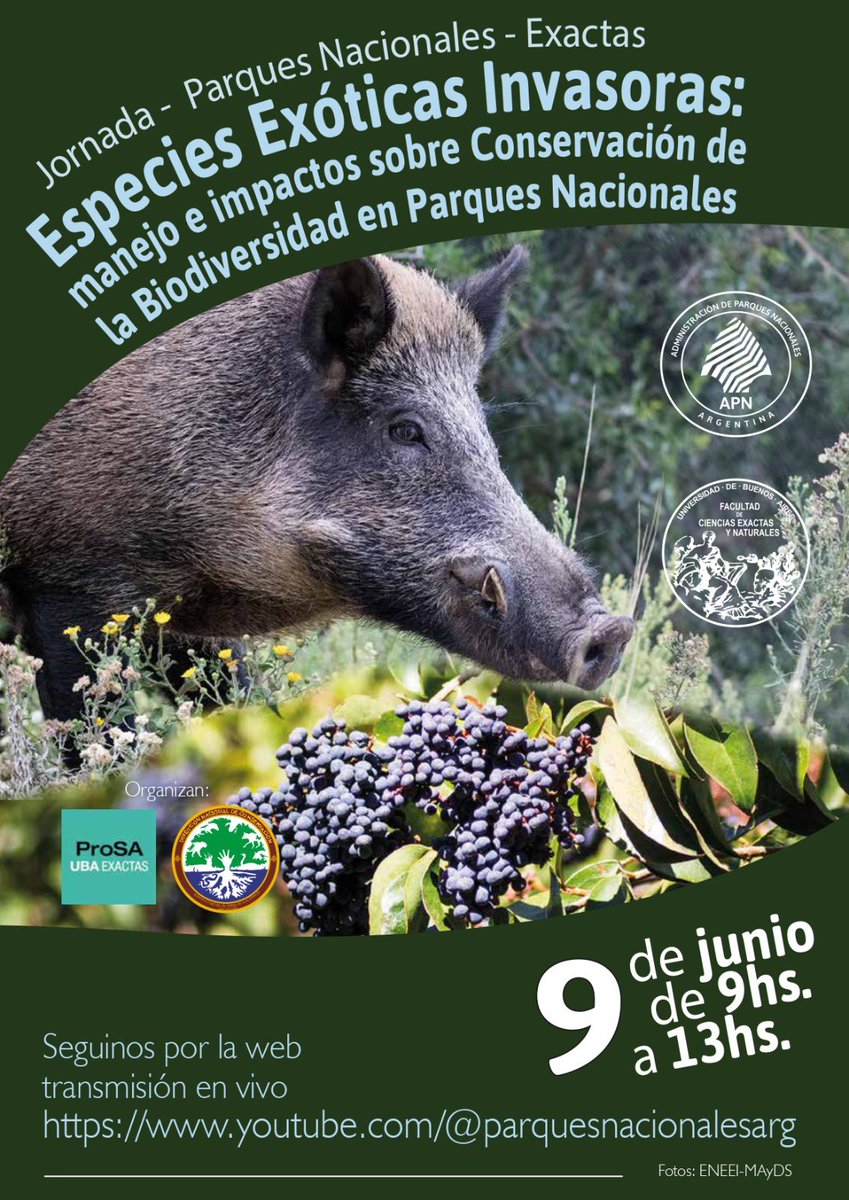 Banco de Bosques tweet media