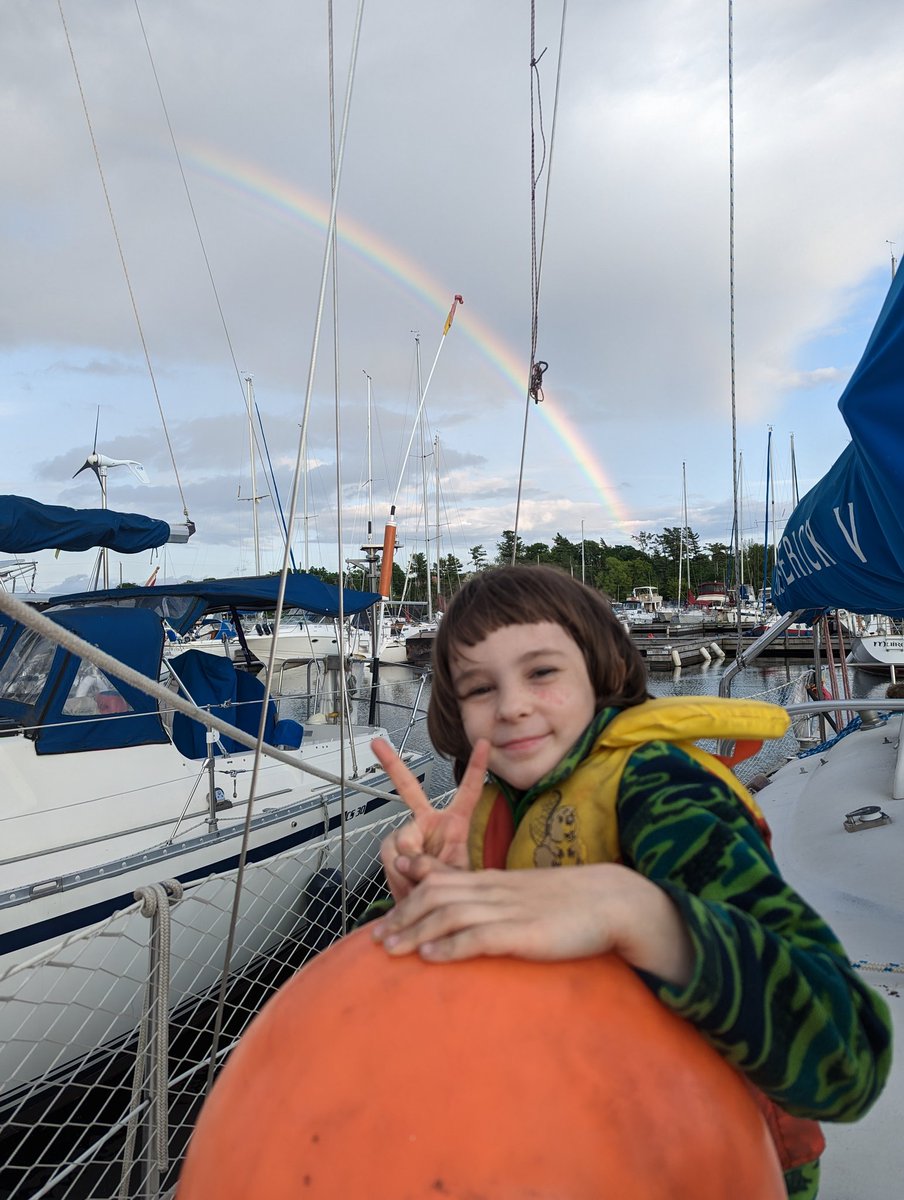 Maverick V tweet media