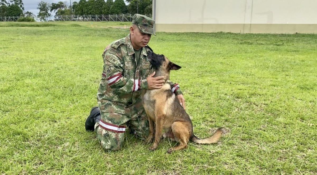Wilson el héroe perruno que acompañó a los niños perdidos en el Guaviare, y quien fue fundamental para darle esta excelente noticia a Colombia.

Gracias Wilson! 🐶👍🏻🇨🇴