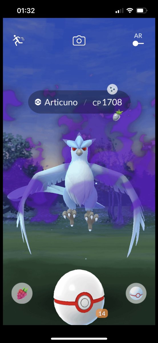 FleeceKing on X: Not one, but two shadow shiny Articuno today