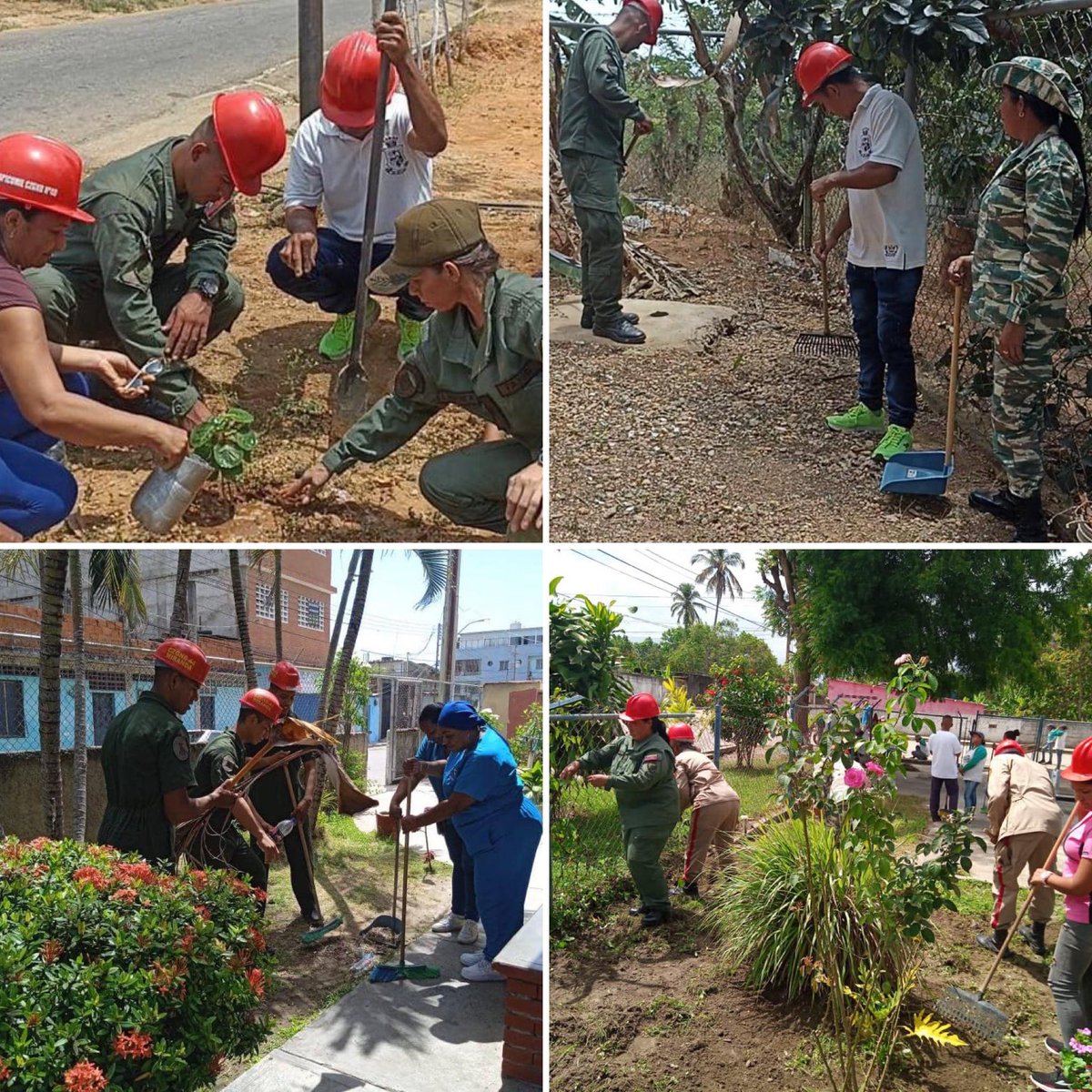 GJ. Domingo Hernández Lárez tweet media
