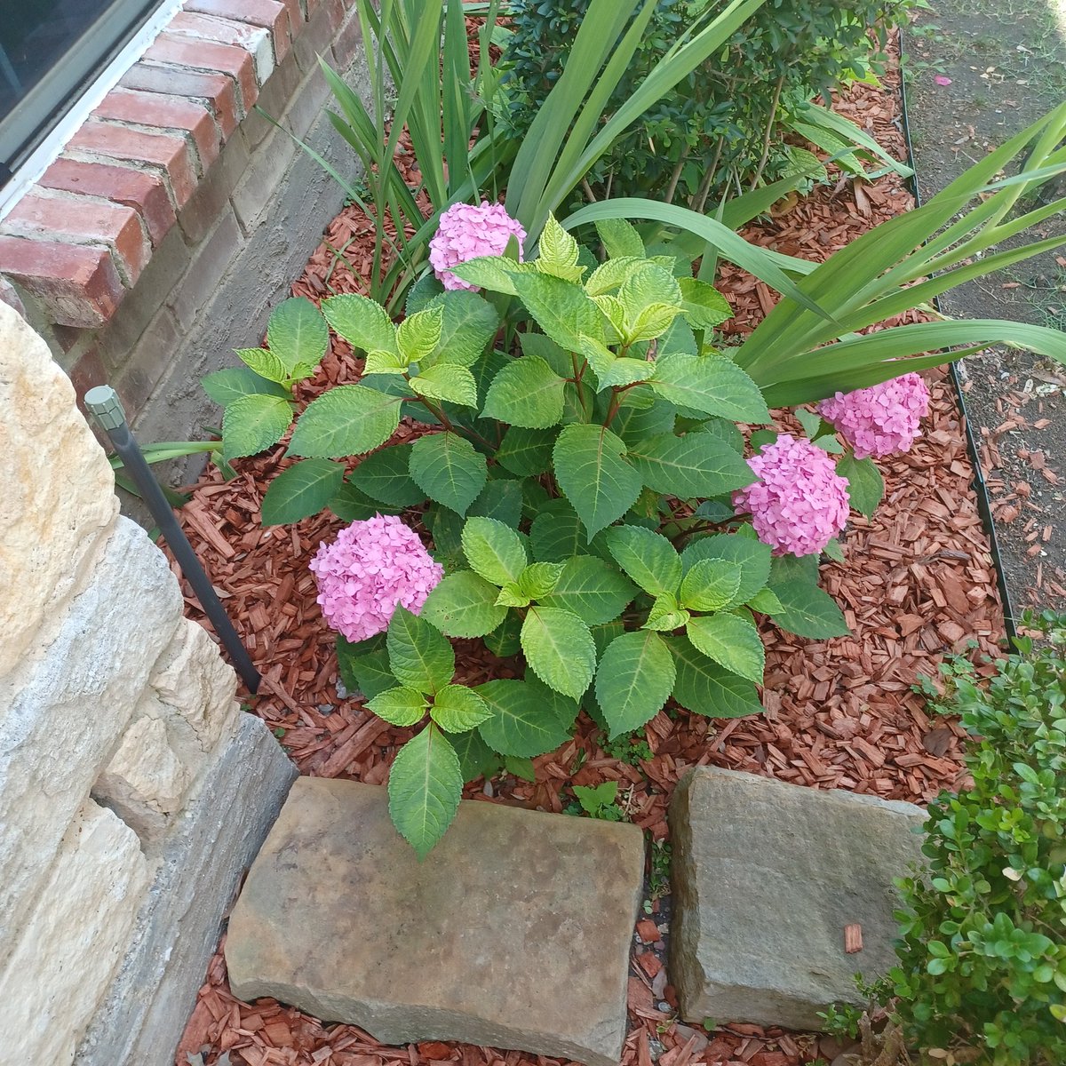 Dr. Emily Washington tweet media