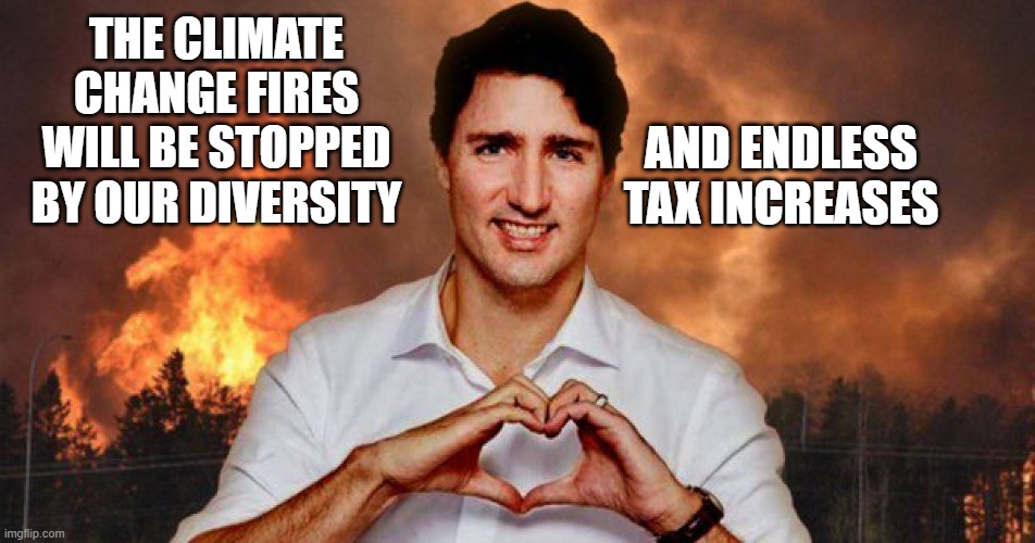#TrudeauBurningCanada #forestfires #CanadaWildfires #FridayVibes #FridayFeeling