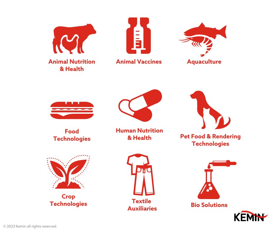 Did you know Kemin develops and supplies ingredients for a variety of industries? Our science, spirit of innovation and servant leadership have driven us to make things better for people, pets, production animals, plants and the planet. 

#TheScienceInside