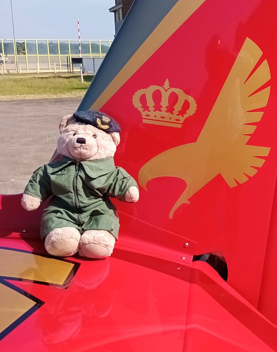 Hey Uncle @berniehollywood 
I am back in the air flying!
#bearforce