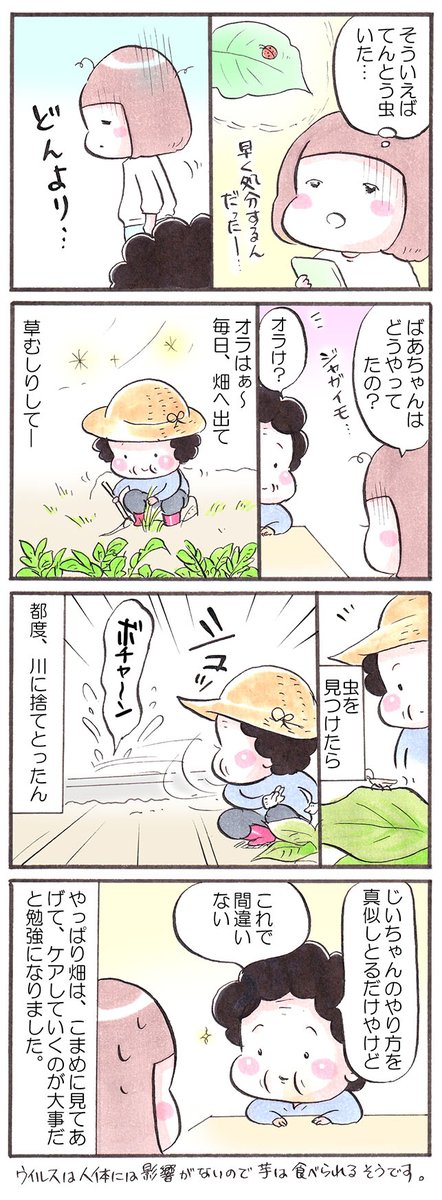 「畑の洗礼」 #漫画が読めるハッシュタグ #コミックエッセイ #じゃがいも