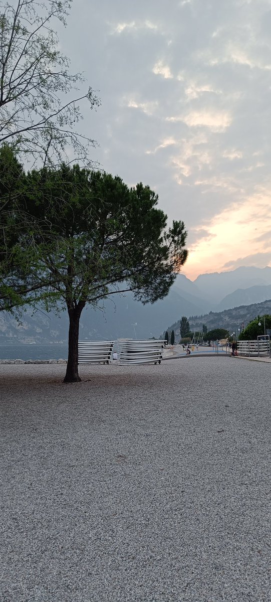 erwee62's tweet image. #torbole#lagodigarda
Wandeling langs het strand op een mooie zomeravond.