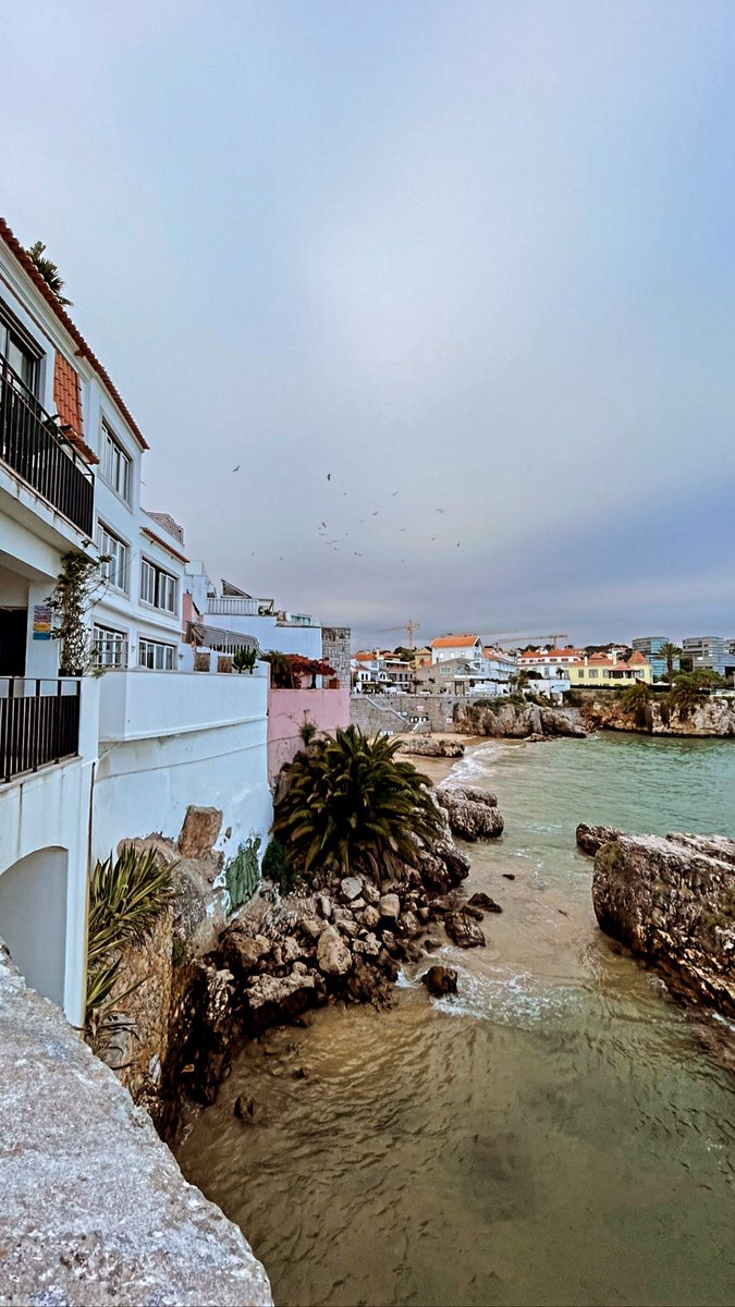 damianradcliffe's tweet photo. Just landed back in London. Missing Cascais already! Thank you @FIPPWorld for hosting #FIPPCongress in such an inspiring location! https://t.co/4wy4R402FT