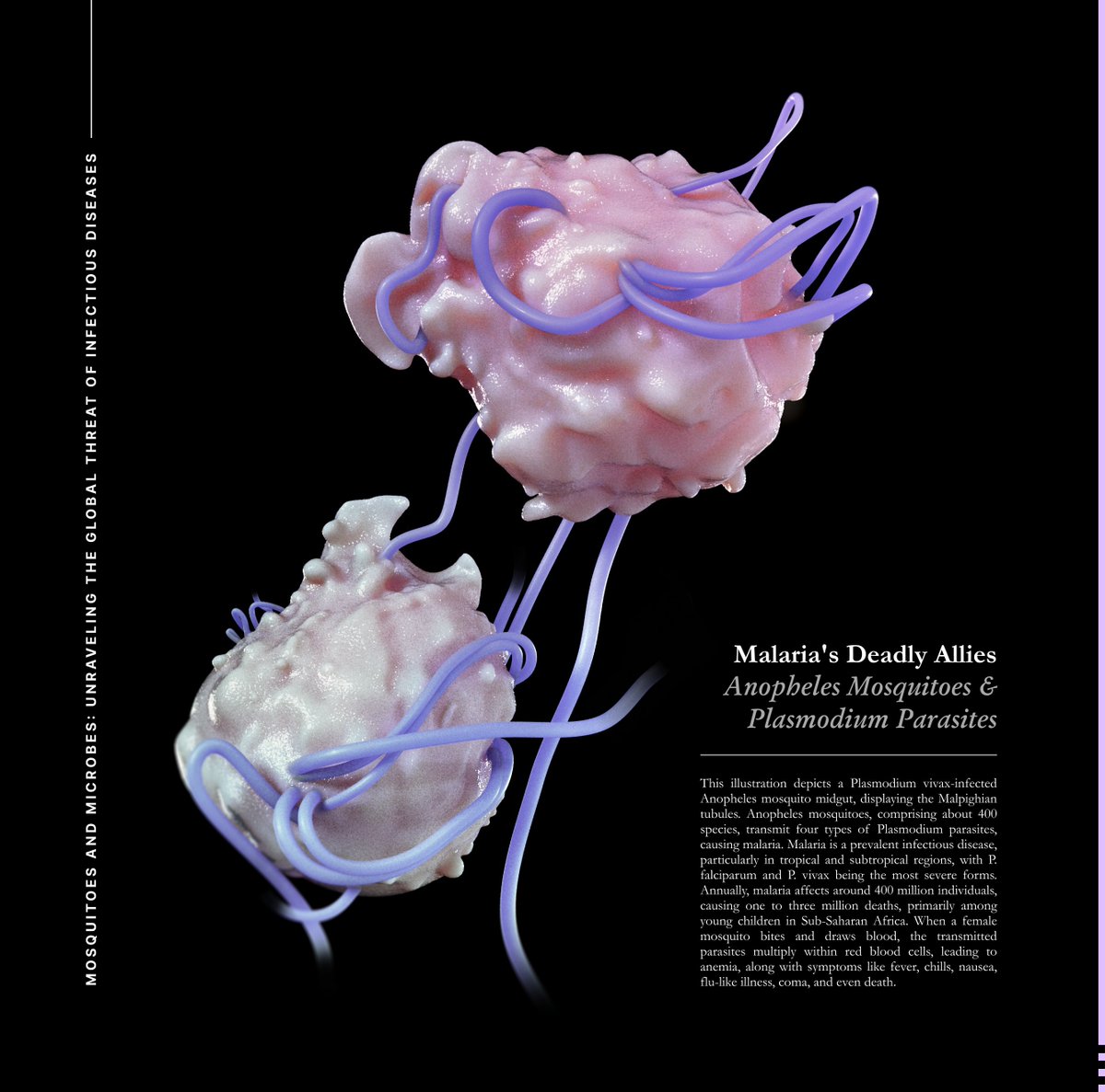 🦟🦟🦟
#nomadsculpt #autodeskmaya #scientificvisualization #3dart #medicalillustration