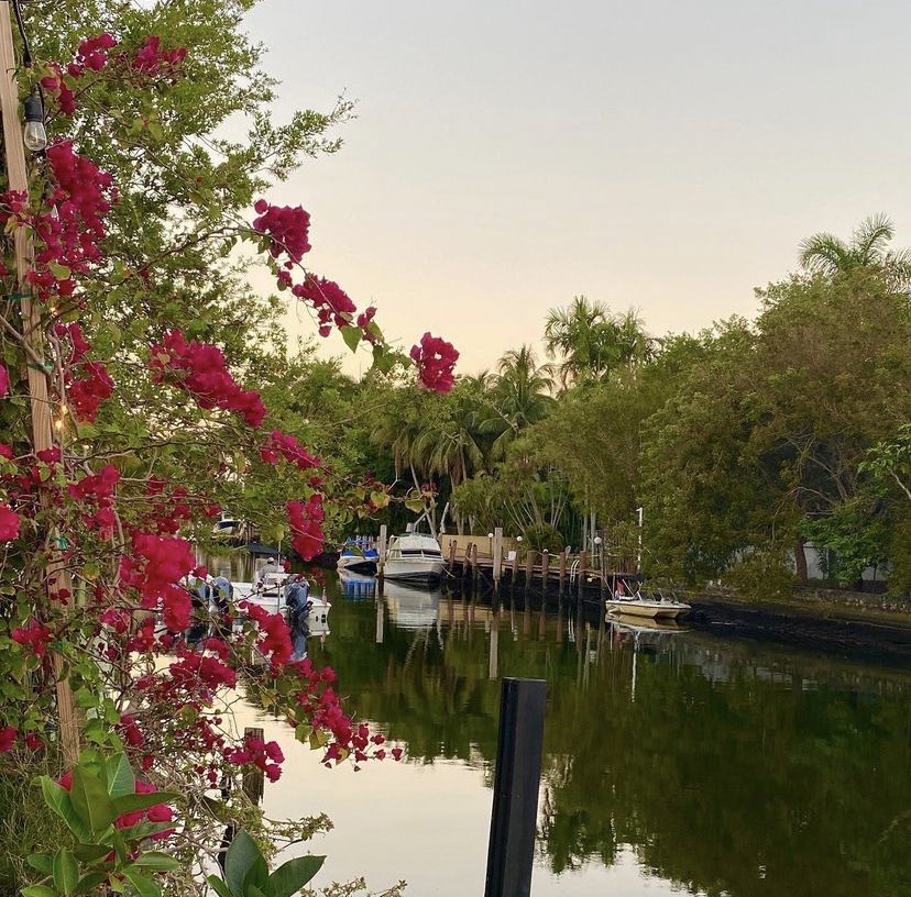 car0zilla's tweet image. 📍Sunday July 2nd, 1pm - 5pm
join us at Tigre for Vinyl &amp;amp; Brunch. 🍳 

🎶 Sounds by me while you eat and drink. Excited to play in a beautiful location with delicious food 🤌🏼  

RSVP at tigre.miami

Stop by @techniquerecs after and receive 15% off with Tigre receipt.