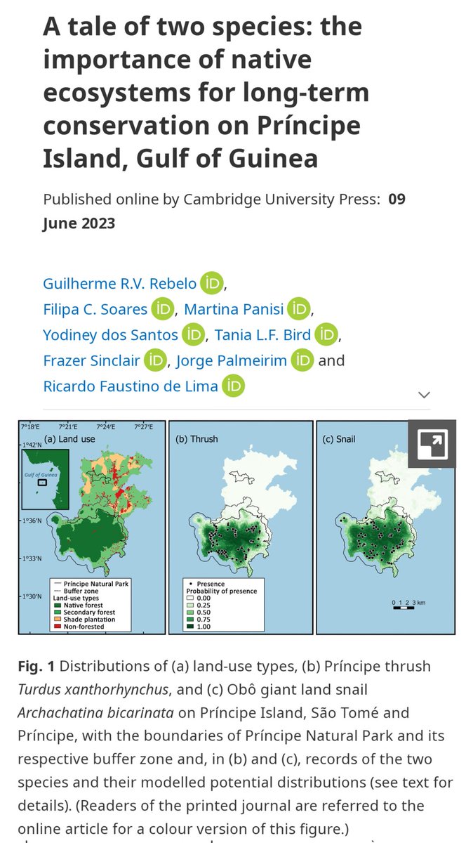 What is happening to the threatened Obô giant snail and Príncipe trush on Príncipe Island? 
Short note leaded by Guilherme Rebelo featuring his MSc thesis 🌿🐌🪶!
@FilipaCSoares, Yodiney dos Santos Tania Bird, Frazer Sinclair, Jorge Palmeirim,  Ricardo Faustino de Lima