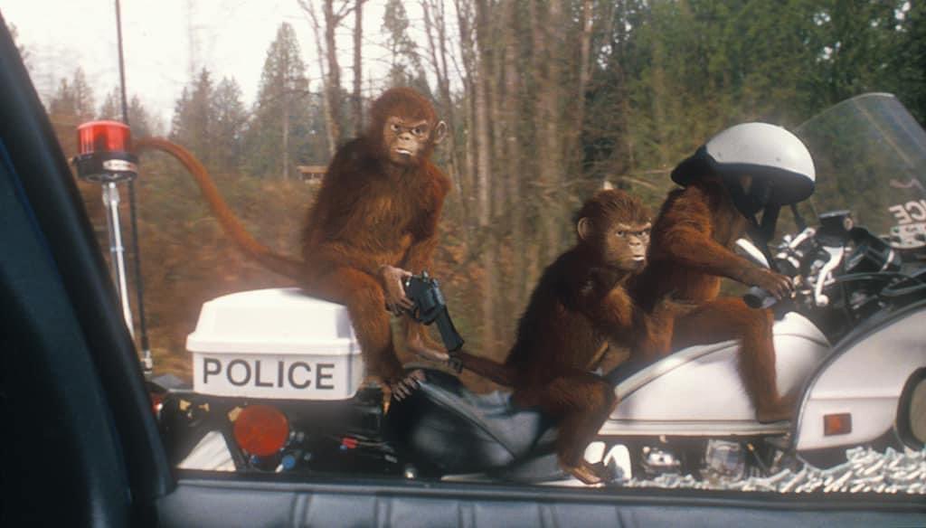 I think about the CGI monkeys from Jumanji randomly shooting things quite often