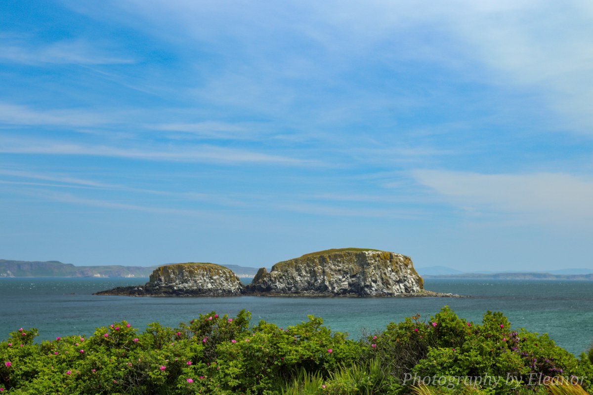 Photography by Eleanor tweet media