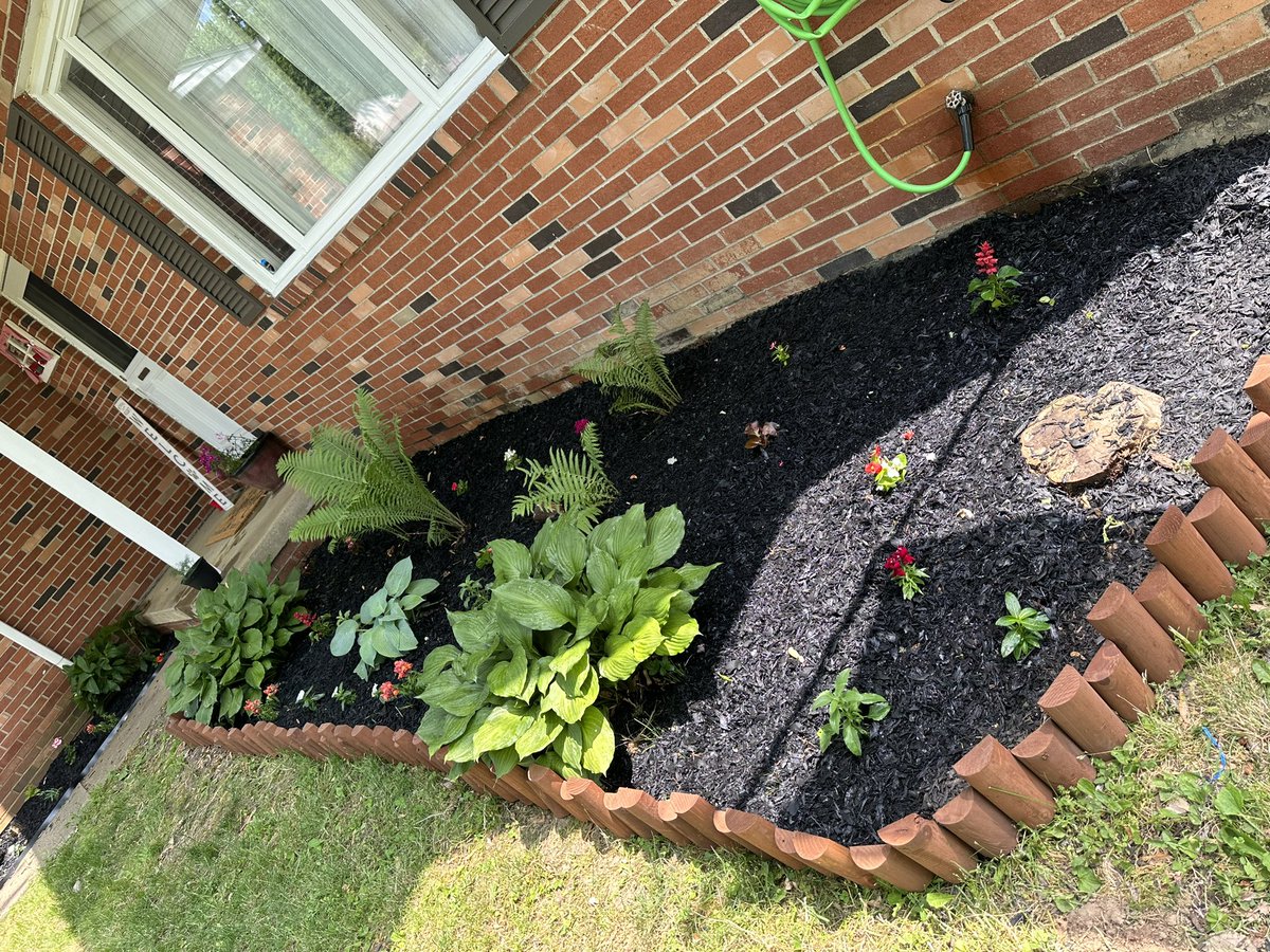 simplystasia_'s tweet photo. Being a homeowner means spending weekends gardening https://t.co/NGtlIZytvA