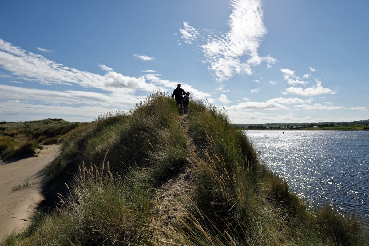 It's #GreatBigGreenWeek - a week of community action to tackle climate change and protect nature. Be inspired at the places in our care. Join an Orchid Walk at Portstewart Strand today or embark on a fulmar nest count on the trails @GCausewayNT on Monday. nationaltrust.org.uk/ni