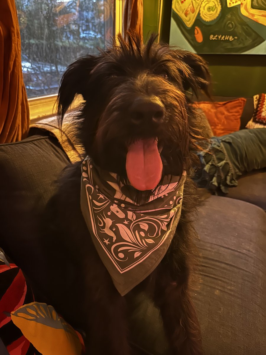 Rodney Rice tweet media