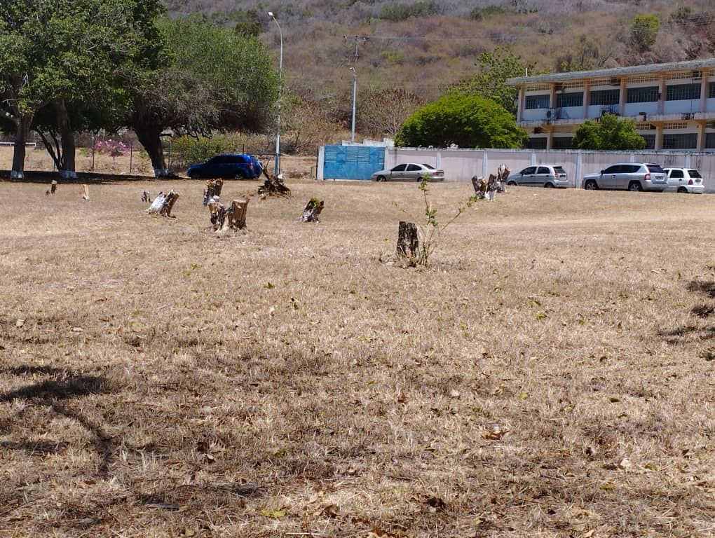 #DENUNCIA #ECOCIDIO EN NUEVA ESPARTA <a href="/TarekWiliamSaab/">Tarek William Saab</a> <a href="/pinfantea/">Pedro Infante A.</a>  <a href="/dcabellor/">Diosdado Cabello R</a>  Artículo 41 De la Ley Penal de Ambiente! <a href="/JosueLorcaV/">Josué Lorca Vega</a> <a href="/dennysguedez/">𝗗𝗲𝗻𝗻𝘆𝘀 𝗚𝘂𝗲𝗱𝗲𝘇</a>  <a href="/FuerzaGuaiqueri/">Fuerza Guaiquerí</a> Activos y Combativos! contra este #ECOCIDIO! #MORELERESUNECOCIDA