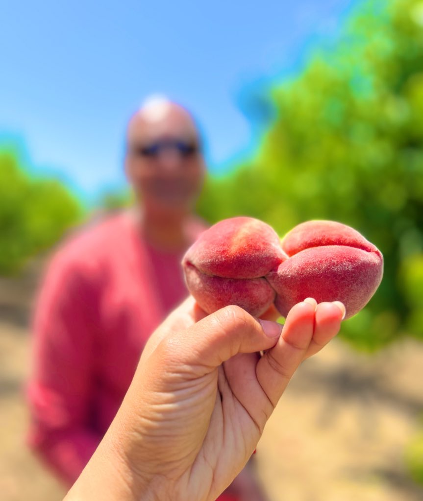 From MotherNature’s basket to our #fruit basket :) #Upick at Gil Ranch in <a href="/CA_Brentwood/">City of Brentwood, California</a> #California #food #foodie #farmspaces #getoutside <a href="/VisitCA/">Visit California</a> <a href="/FoodTravelChat/">#FoodTravelChat</a> #foodtwitter #TwitterNatureCommunity #summer #HealthyEating