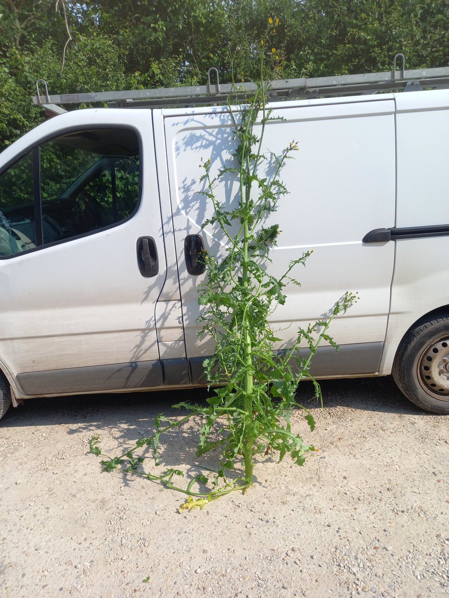 "Ooooooooooooh what a beauty! I've never seen one as big as that before!" 😮