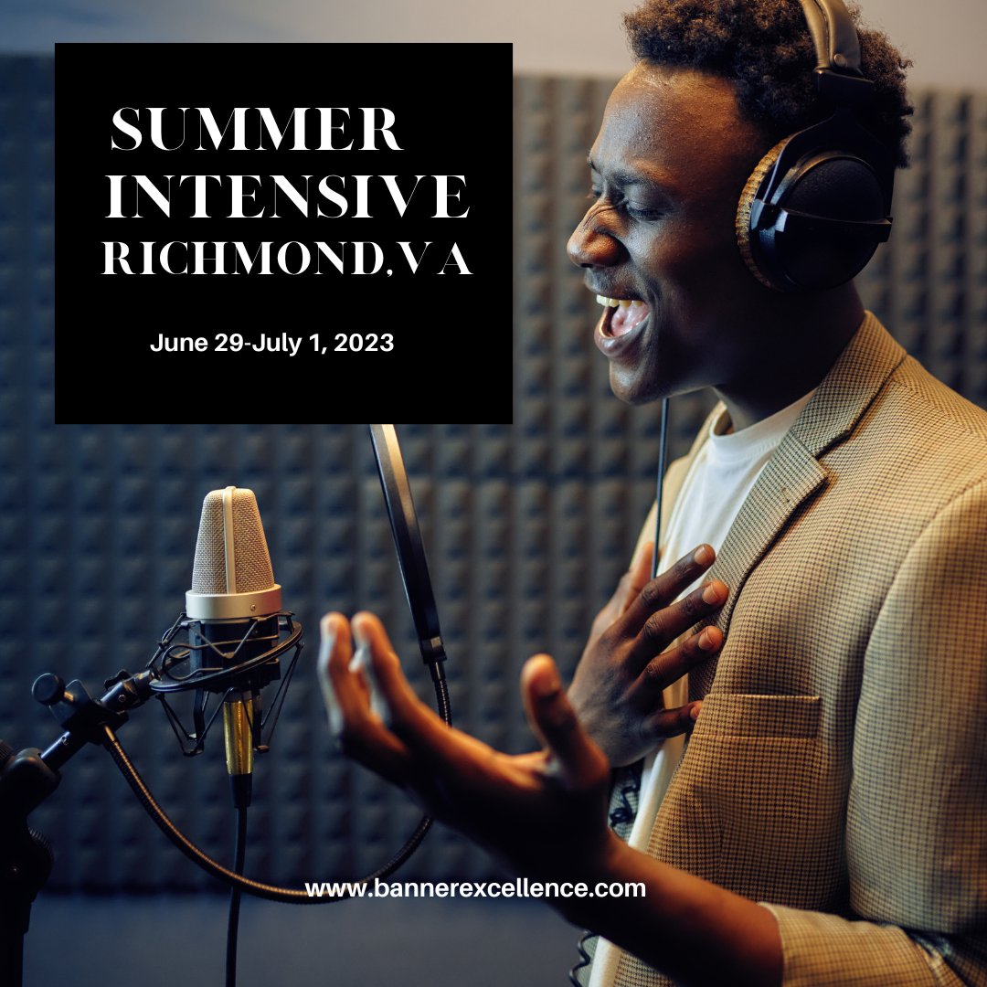 Looking for aspiring artists in the Richmond, VA area. Details at bannerexcellence.com.