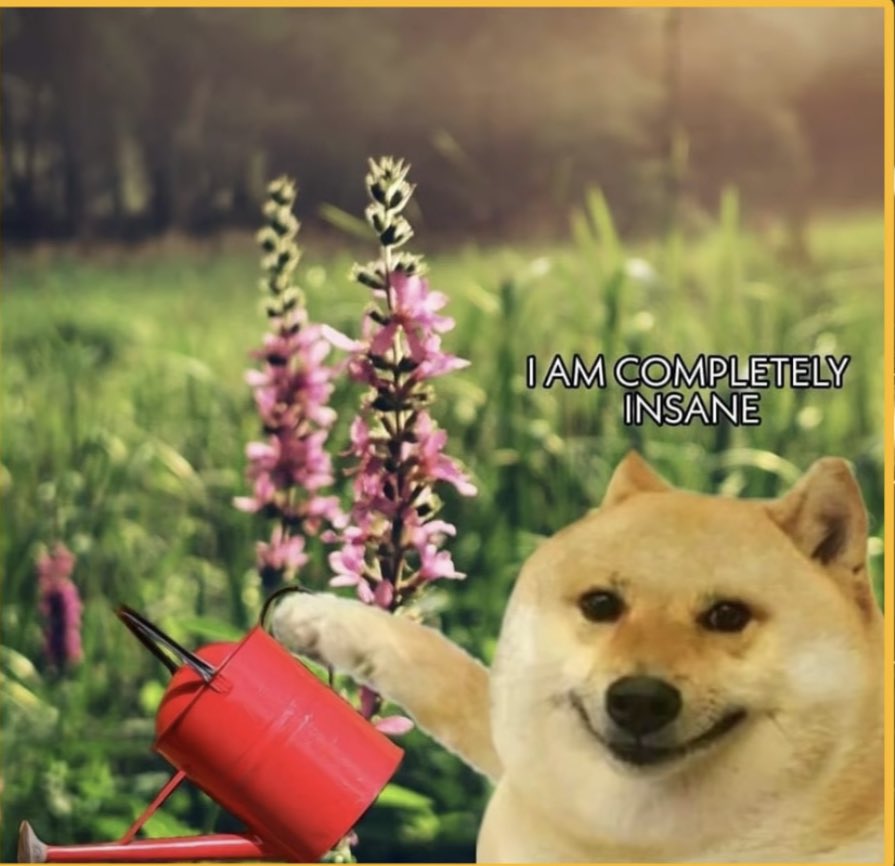 squeeks ☻ tweet media