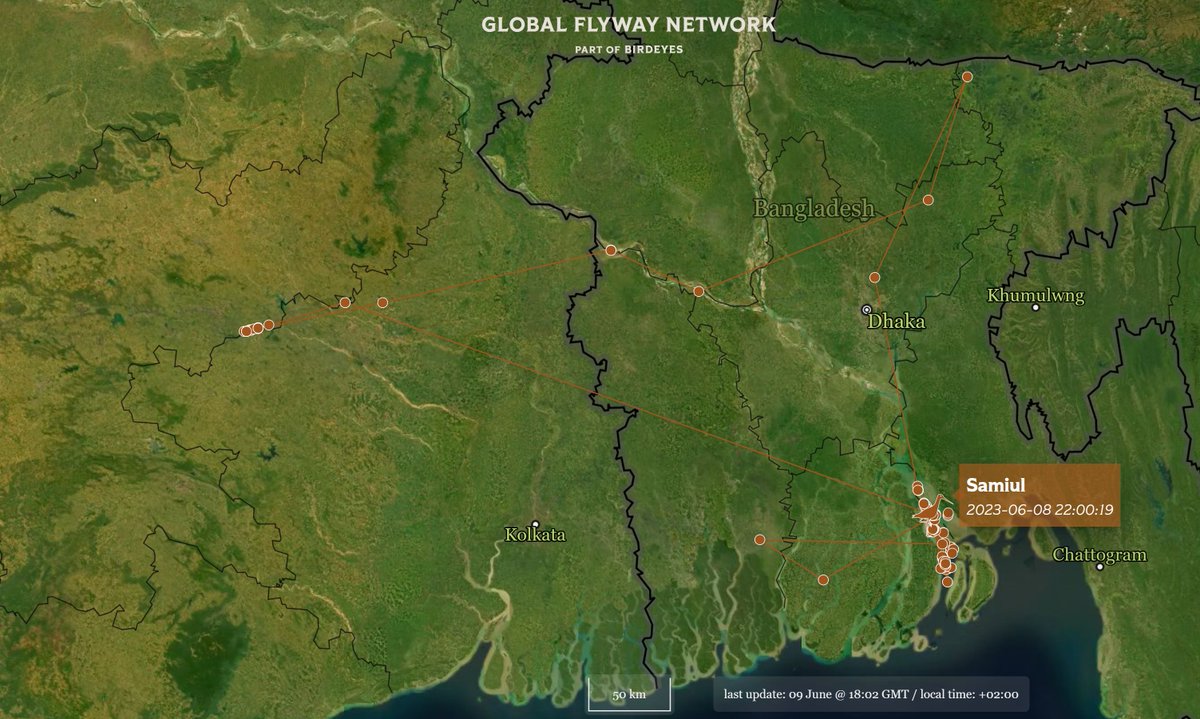 Global Flyway Network tweet media