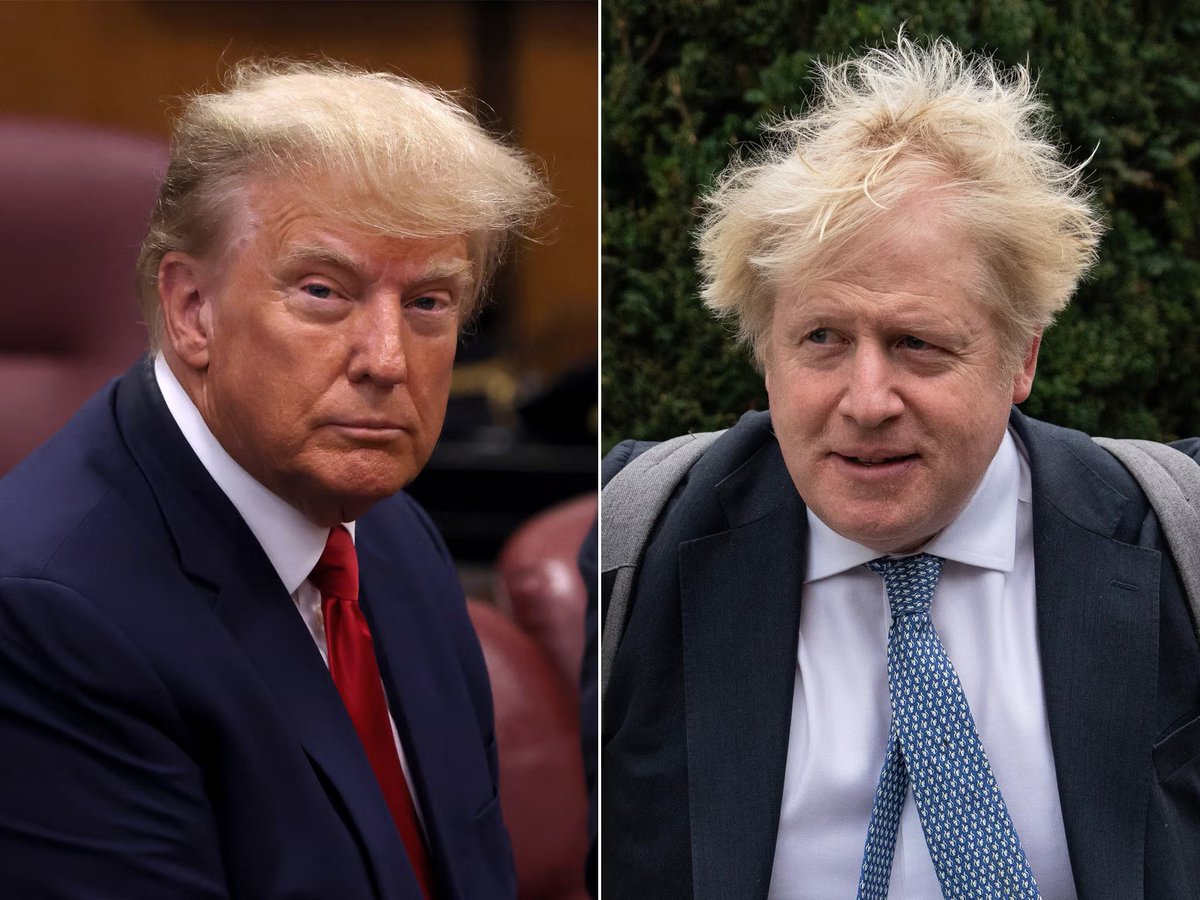 Not a good day for mad bastards with weird hair😂😂 #byebyeboris #IndictTrump