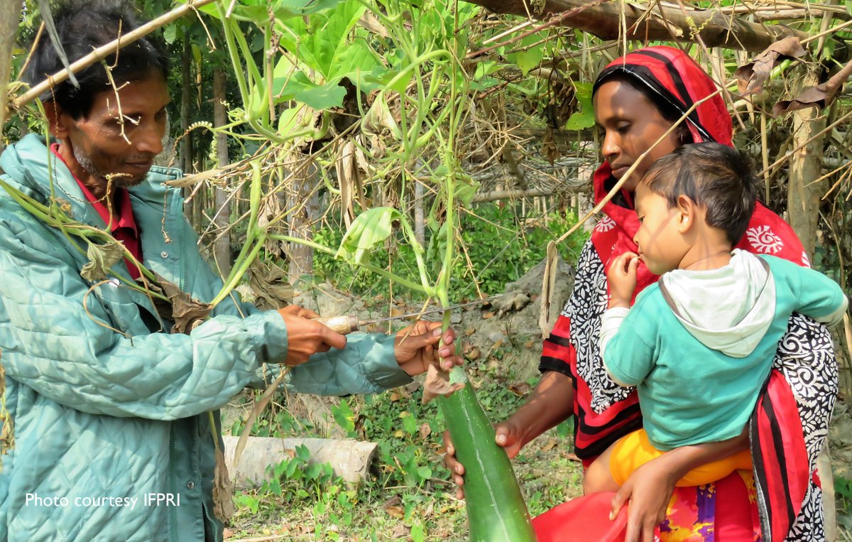 Feed the Future (@feedthefuture) on Twitter photo .<a href="/MRRInnovLab/">MRR Innovation Lab</a> is returning to #Bangladesh to see if improvements generated by a three-year program to promote agricultural diversity, increase income, improve nutrition and empower women were sustained after a devastating cyclone. Learn why: ow.ly/115f50OG2Gn .<a href="/MRRInnovLab/">MRR Innovation Lab</a> is returning to #Bangladesh to see if improvements generated by a three-year program to promote agricultural diversity, increase income, improve nutrition and empower women were sustained after a devastating cyclone. Learn why: ow.ly/115f50OG2Gn