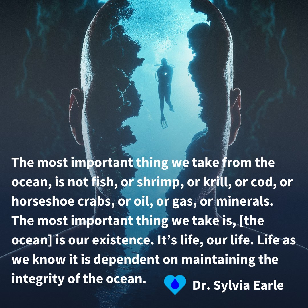 The Hydrous (@thehydrous) on Twitter photo The ocean is life, our life.
Beautiful quote from <a href="/SylviaEarle/">Sylvia A. Earle</a> from this year's <a href="/UNOceanDecade/">UN Ocean Decade</a> #WorldOceansDay fireside chat.
Loved tuning in to this broadcast to hear all about putting the ocean first. 💙🌊
📸: Avik Paul, <a href="/theoceanagency/">The Ocean Agency</a> The ocean is life, our life.
Beautiful quote from <a href="/SylviaEarle/">Sylvia A. Earle</a> from this year's <a href="/UNOceanDecade/">UN Ocean Decade</a> #WorldOceansDay fireside chat.
Loved tuning in to this broadcast to hear all about putting the ocean first. 💙🌊
📸: Avik Paul, <a href="/theoceanagency/">The Ocean Agency</a>