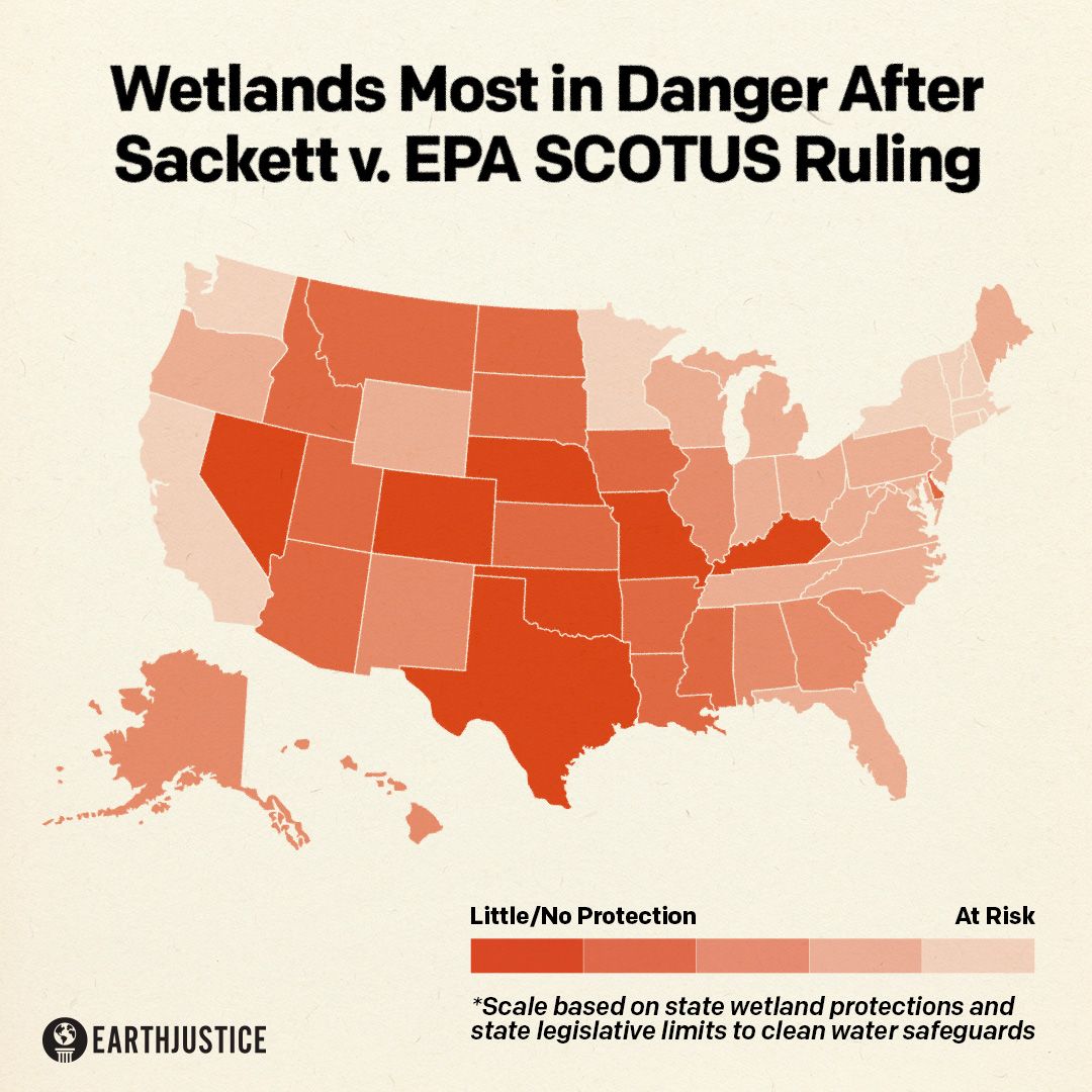 The United States has over 290 million acres of wetlands. Thanks to Sackett v. EPA, over a hundred million acres are at risk. 

Even if some states have more protective laws, many don't. And the downstream impacts of this staggering loss of protections are incalculable.