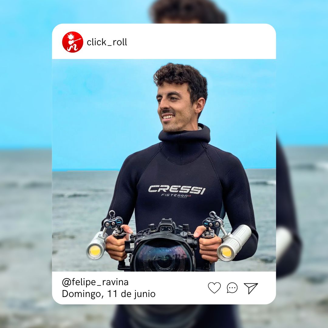 click_roll's tweet photo. Menú #clickandroll del domingo 🙌

👉 @CruzCafune comparte chuches y momentazos en nuestro estudio

👉 Felipe Ravina nos aclara qué es la "turismofobia"

📻 Escúchanos este domingo, 11 de junio, a las 20:00 horas en @Los40_Canarias 📻

@IslasDeCultura @elaboradoaqui @CocaCola_esp https://t.co/Z2nbmYOcpO