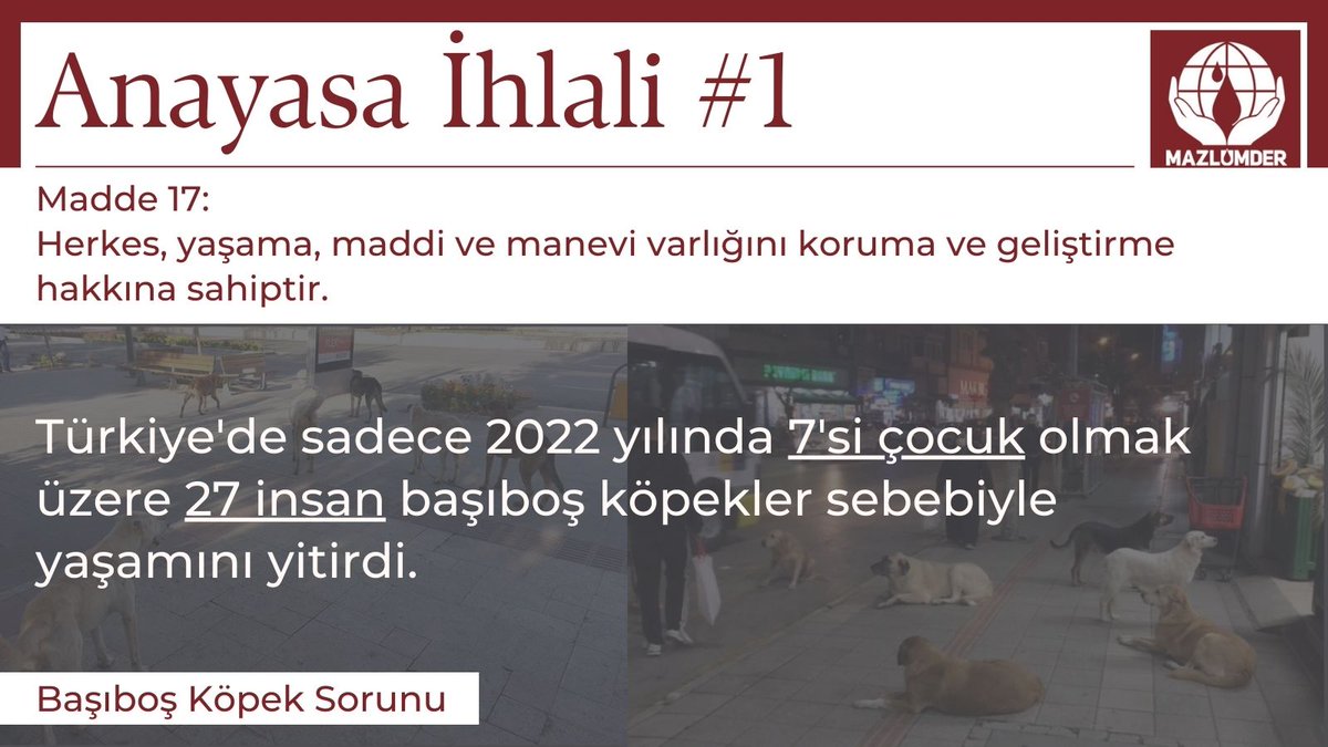 Sahipsiz başıboş köpekler sorunu, çeşitli hak ihlallerine yol açan ve acil çözüm bekleyen toplumsal bir sorundur. 

x.com/MazlumderK/sta…