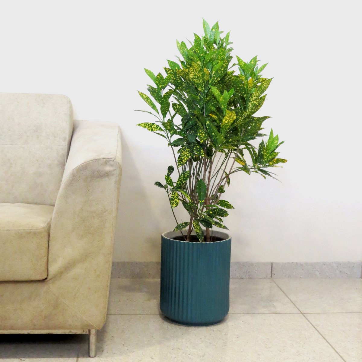 mananda_india's tweet photo. When it comes to adding greenery to your personal spaces, Magdalena planters are strong, exquisite additions. The stunning Magdalena planter décor encourages people to pause, take a moment of their time and admire the beauty of nature surrounding them. #home #india https://t.co/U9dlmbIZVM