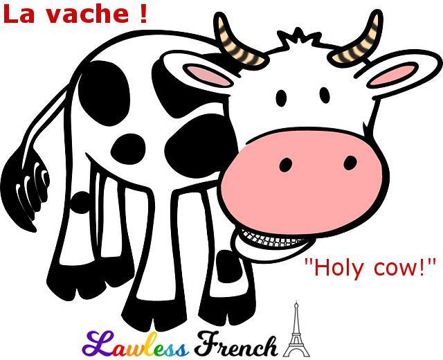 LawlessFrench's tweet photo. La vache ! - Holy cow!⠀⠀
⠀⠀
Read the lesson and examples and listen to the pronunciation at https://t.co/iFLm9IsBTx ⠀⠀
⠀⠀
#frenchexpression #learnfrench #fle #french #frenchexpressions #speakfrench #authenticfrench #frenchteacher #frenchlearner #frenchstudent #f https://t.co/skJkko8qVE