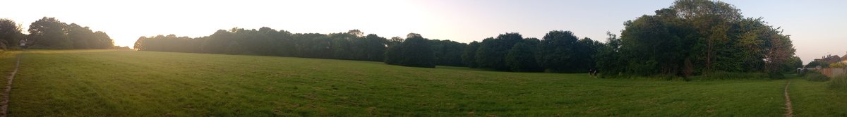 RevDJSnowball's tweet image. Evening walk in #SouthOxhey.