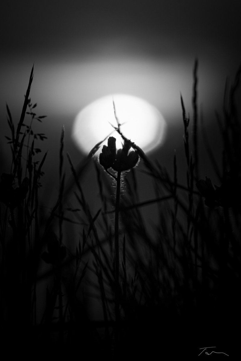 Good night