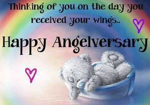 Finkin of @Marina935home’s sweet furbaby #Wiley, who had his 1st #Angelversary on June 6f wif #LUVnREMEMBRANCE 💖🌈🌟
#HealingPurrsPawty #pawcircle #AngelGang #OTRB